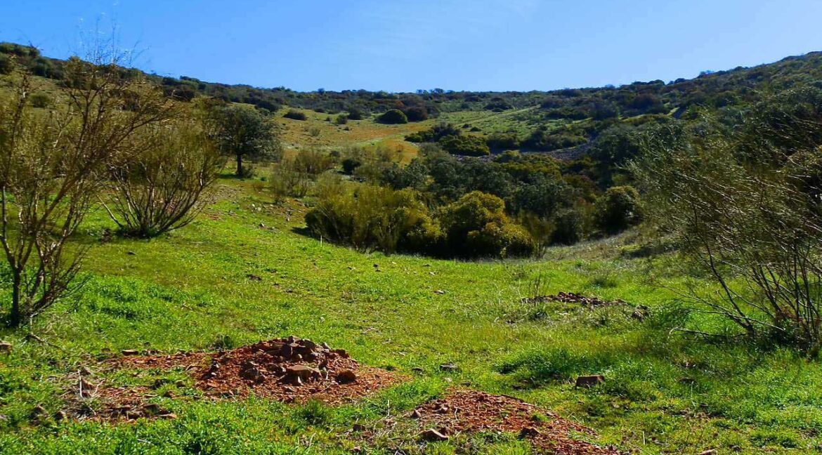 671_fincas-en-venta-067