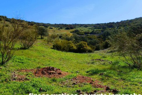671_fincas-en-venta-067