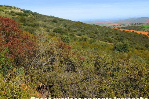 671_fincas-en-venta-087