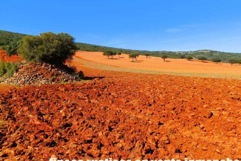 671_fincas-en-venta-113