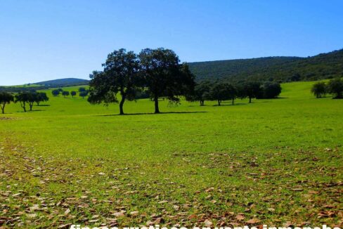 671_fincas-en-venta-114