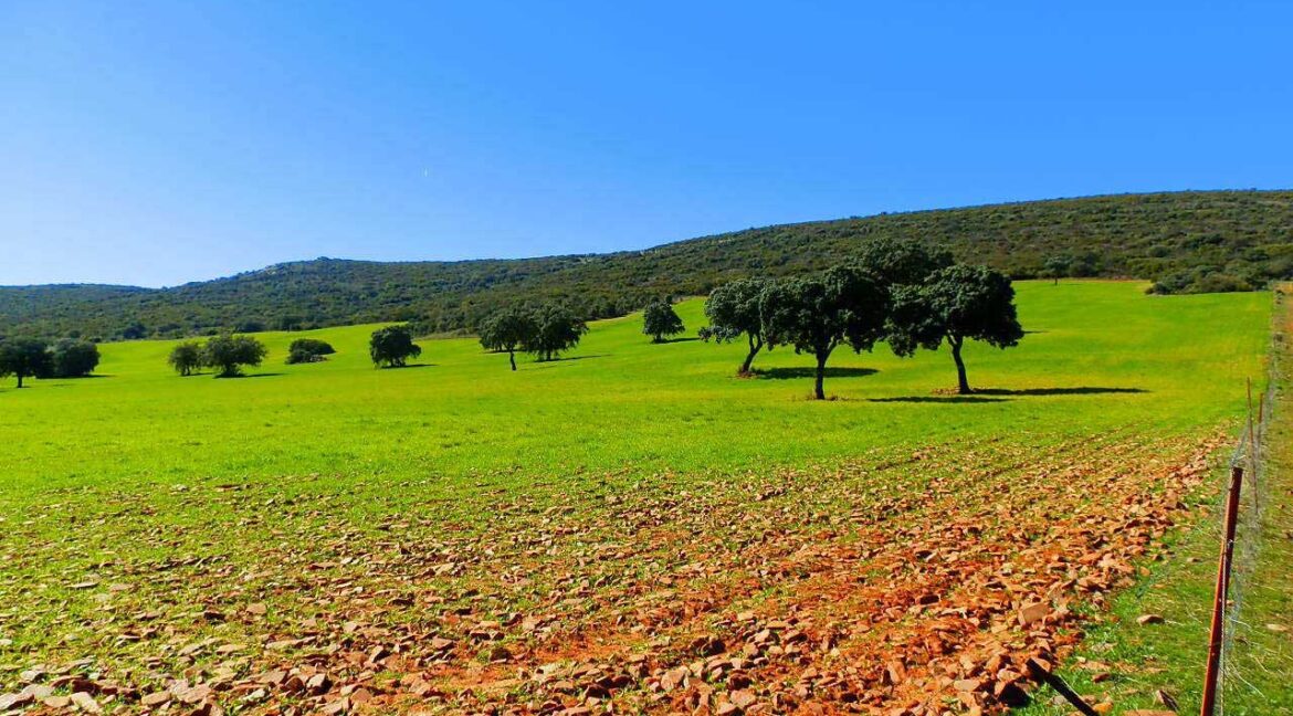671_fincas-en-venta-115