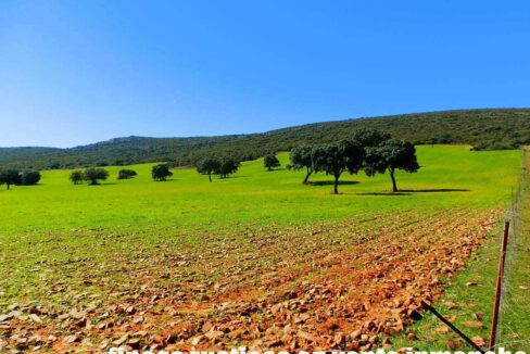 671_fincas-en-venta-115