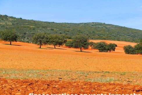 671_fincas-en-venta-116