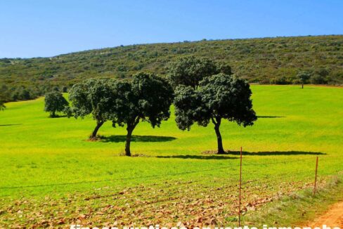 671_fincas-en-venta-117