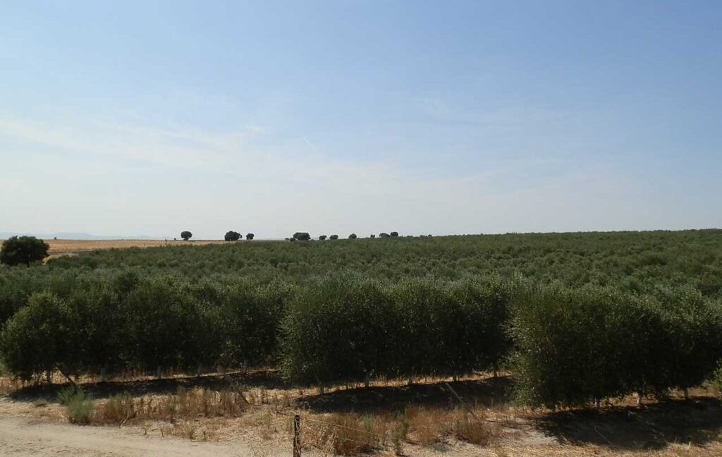 672_fincas-en-venta-021