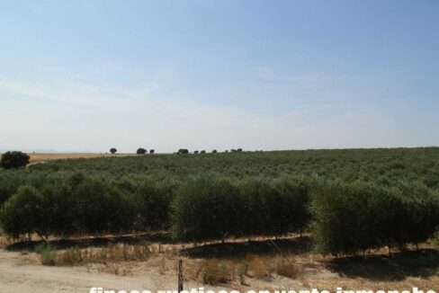 672_fincas-en-venta-021