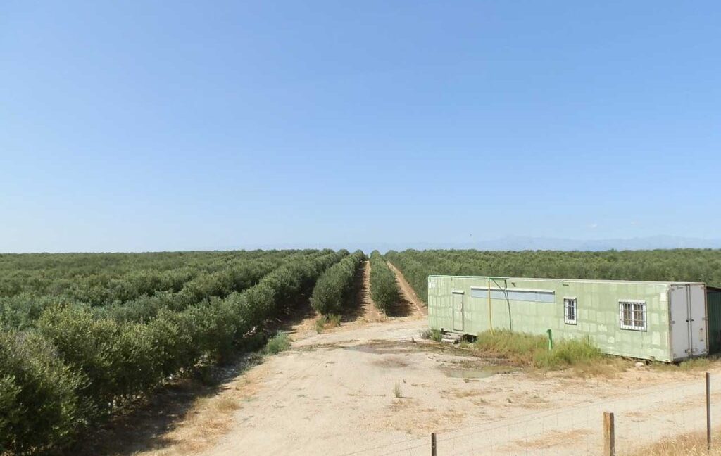 672_fincas-en-venta-023
