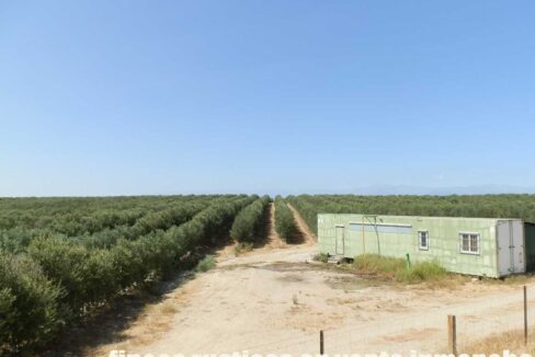 672_fincas-en-venta-023