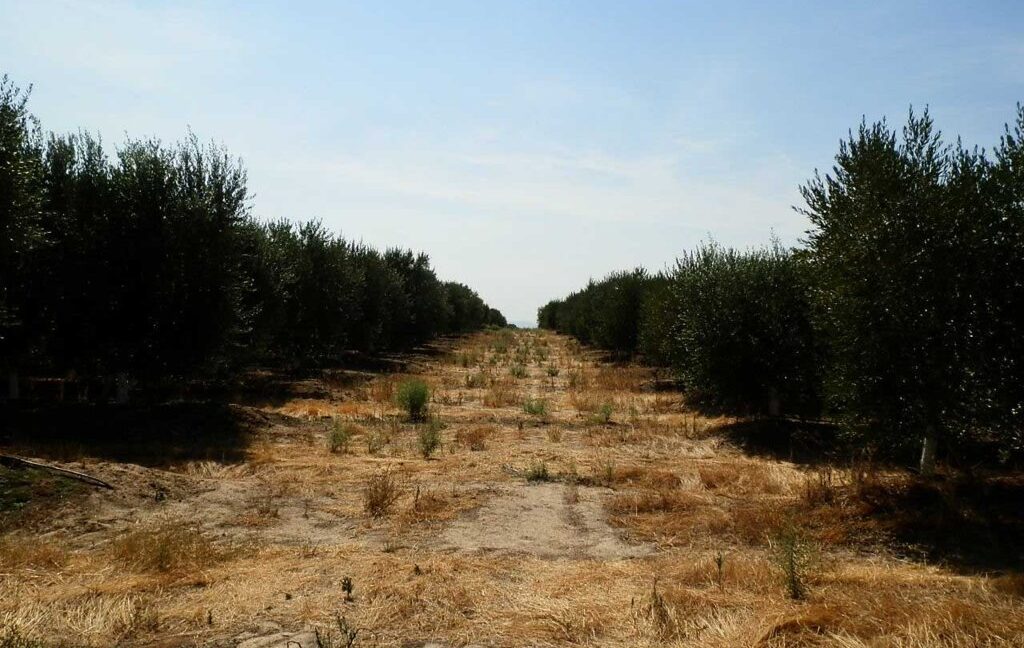 672_fincas-en-venta-031