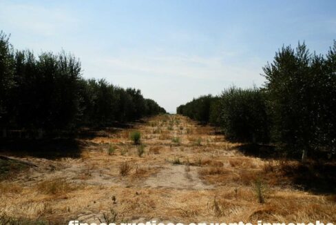 672_fincas-en-venta-031
