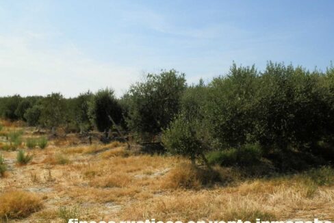672_fincas-en-venta-034