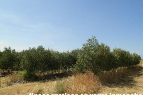672_fincas-en-venta-037