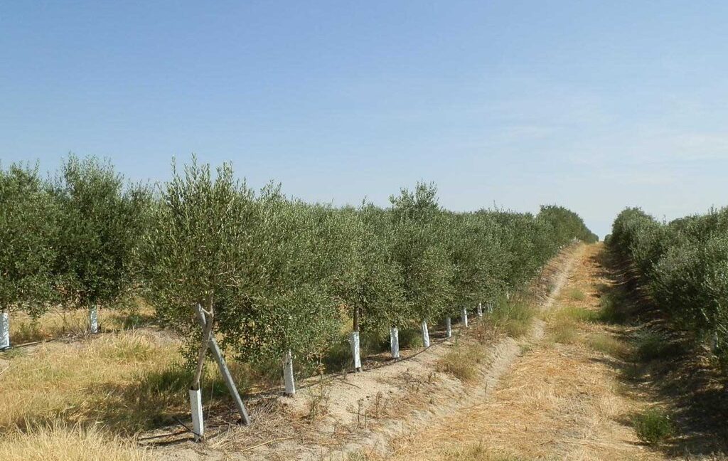 672_fincas-en-venta-040