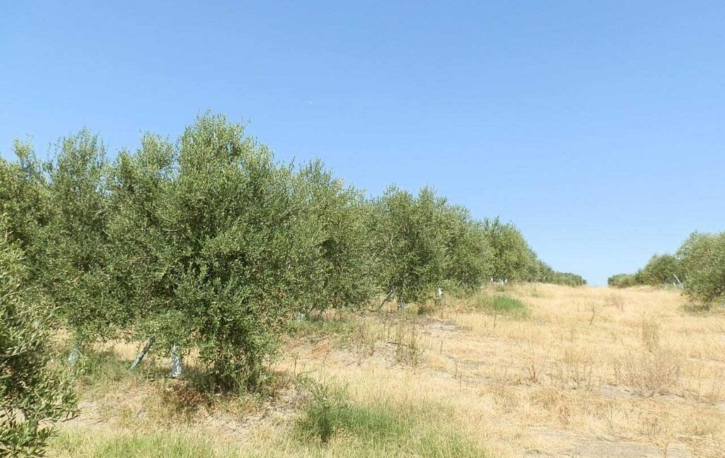 672_fincas-en-venta-042