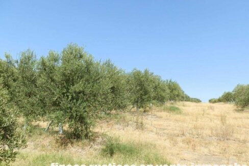672_fincas-en-venta-042