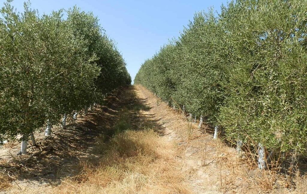 672_fincas-en-venta-045