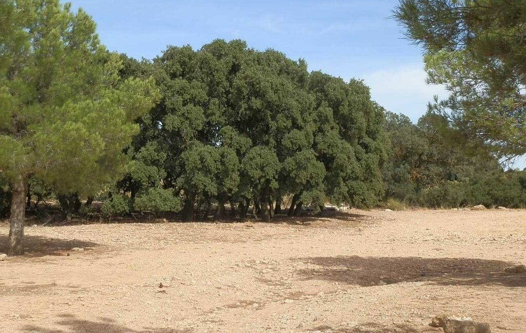 673_fincas-en-venta-081