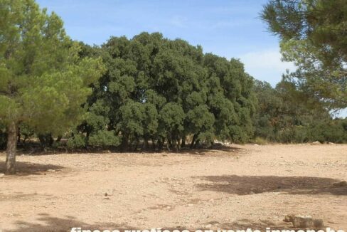 673_fincas-en-venta-081
