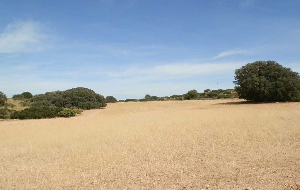 673_fincas-en-venta-082