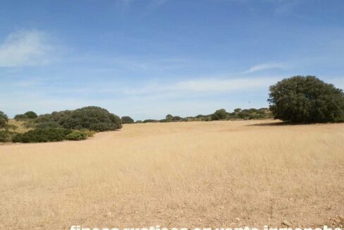 673_fincas-en-venta-082