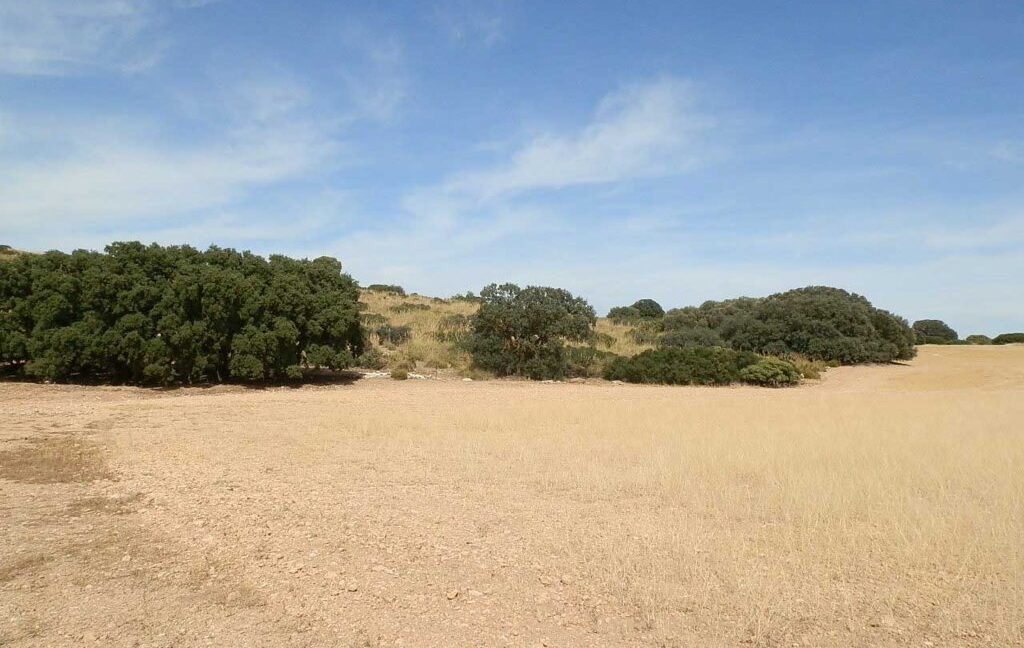 673_fincas-en-venta-083