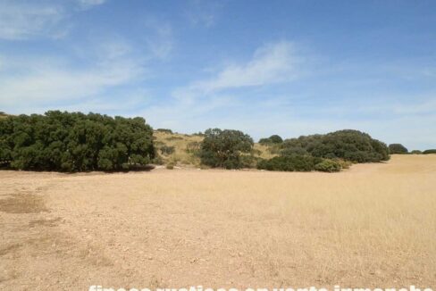 673_fincas-en-venta-083