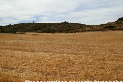 673_fincas-en-venta-090