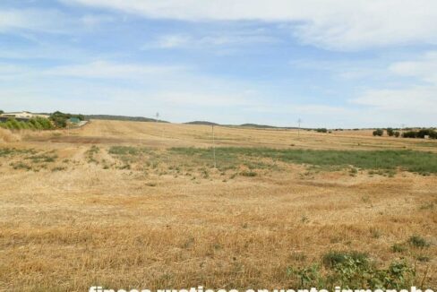 673_fincas-en-venta-108