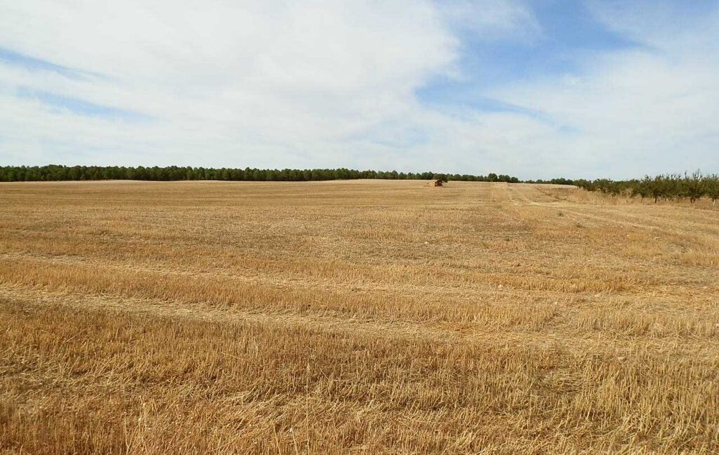 673_fincas-en-venta-112