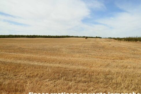 673_fincas-en-venta-112