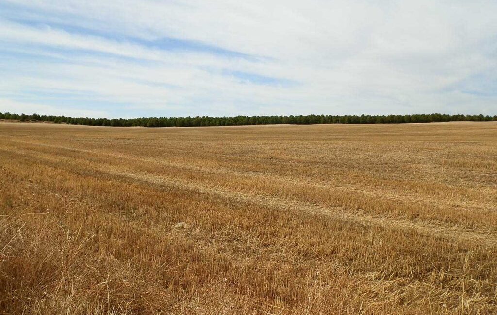 673_fincas-en-venta-113