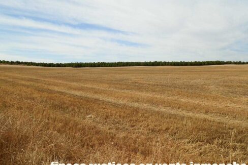 673_fincas-en-venta-113