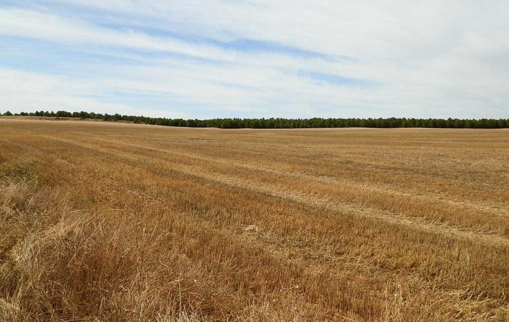 673_fincas-en-venta-114
