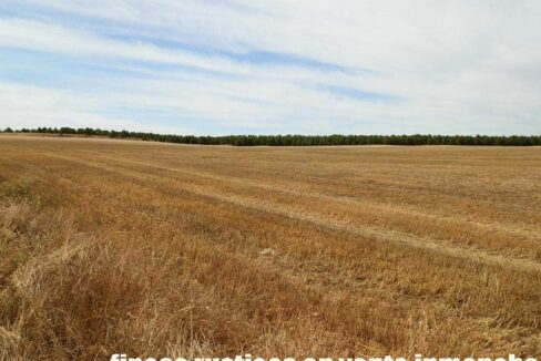 673_fincas-en-venta-114