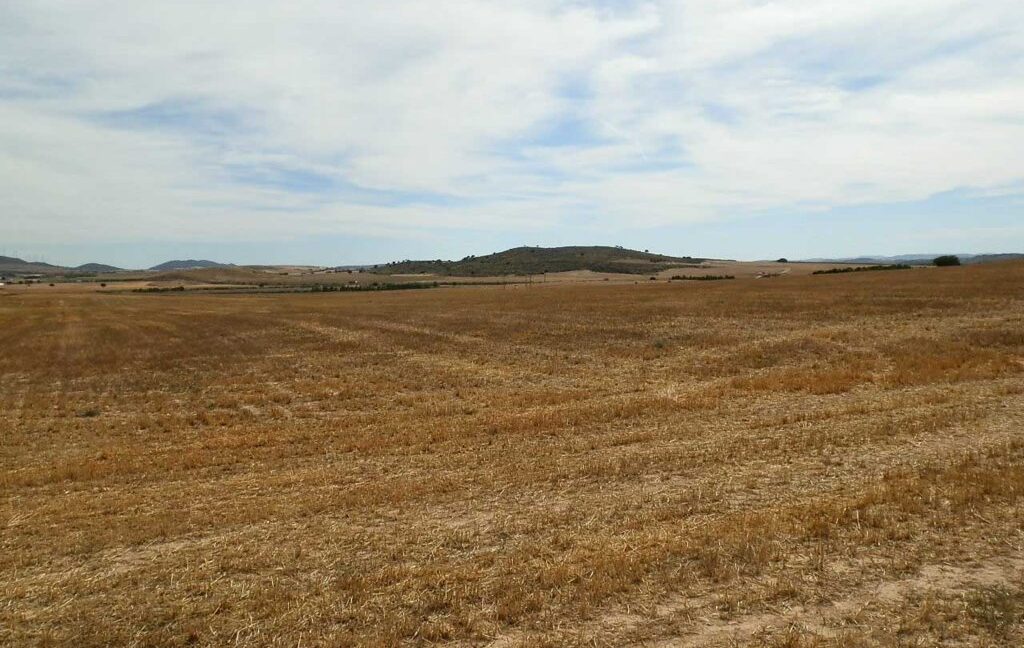673_fincas-en-venta-115
