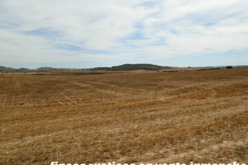 673_fincas-en-venta-115