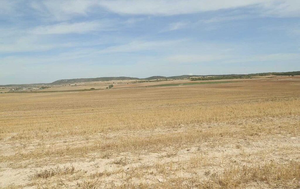 673_fincas-en-venta-117