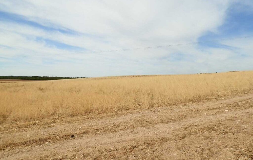 673_fincas-en-venta-118
