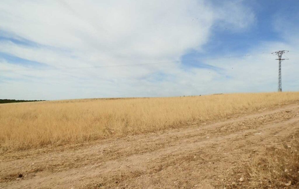 673_fincas-en-venta-119