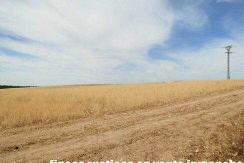 673_fincas-en-venta-119