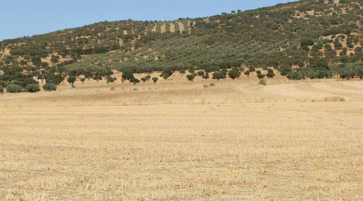 674_fincas-en-venta-01