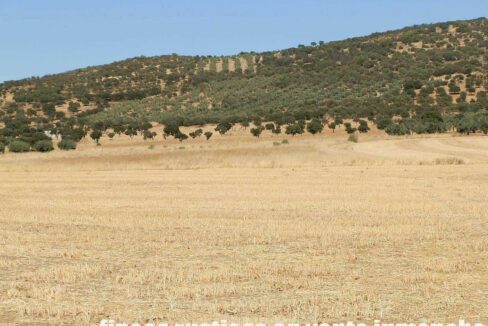 674_fincas-en-venta-01