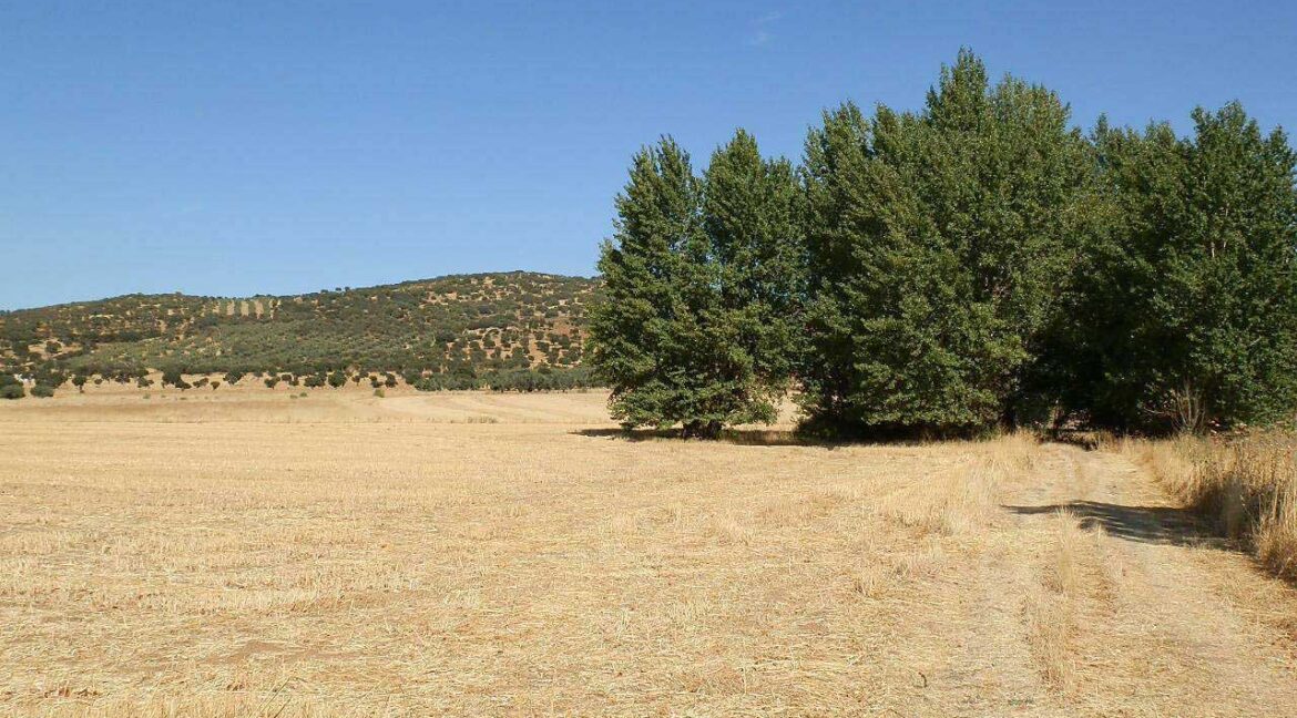674_fincas-en-venta-02