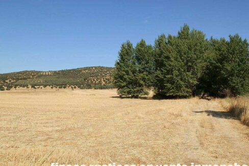 674_fincas-en-venta-02
