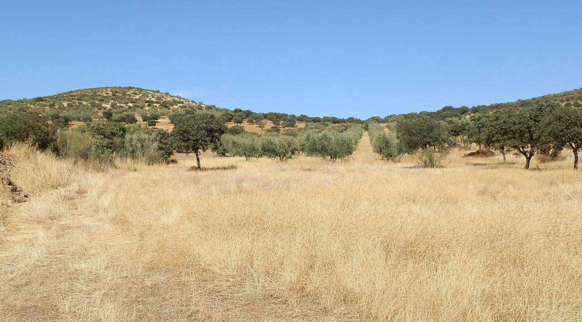 674_fincas-en-venta-03