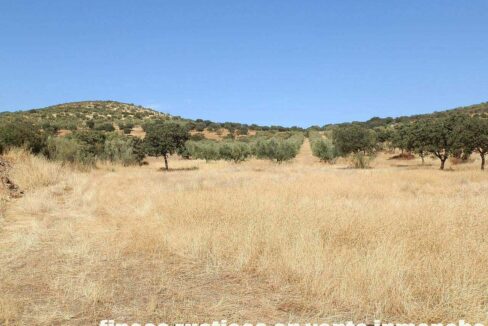 674_fincas-en-venta-03
