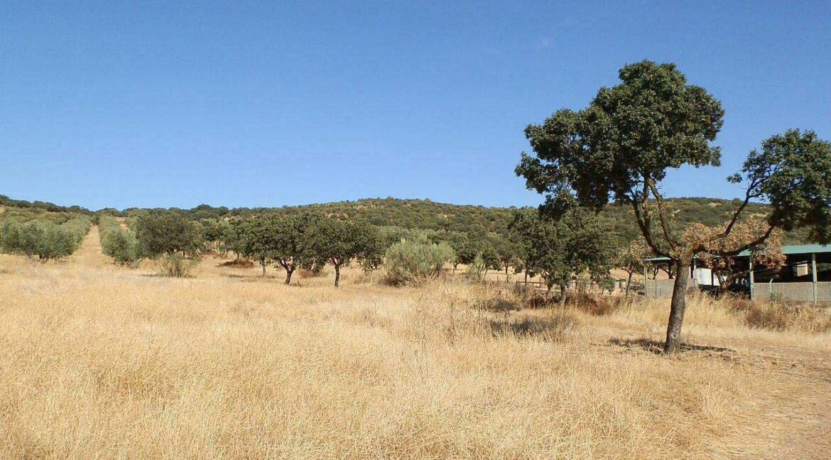 674_fincas-en-venta-04