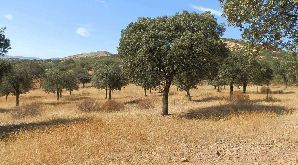674_fincas-en-venta-05