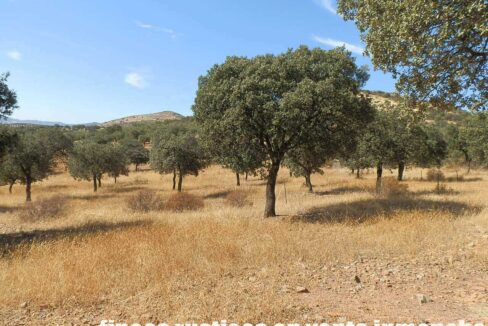 674_fincas-en-venta-05